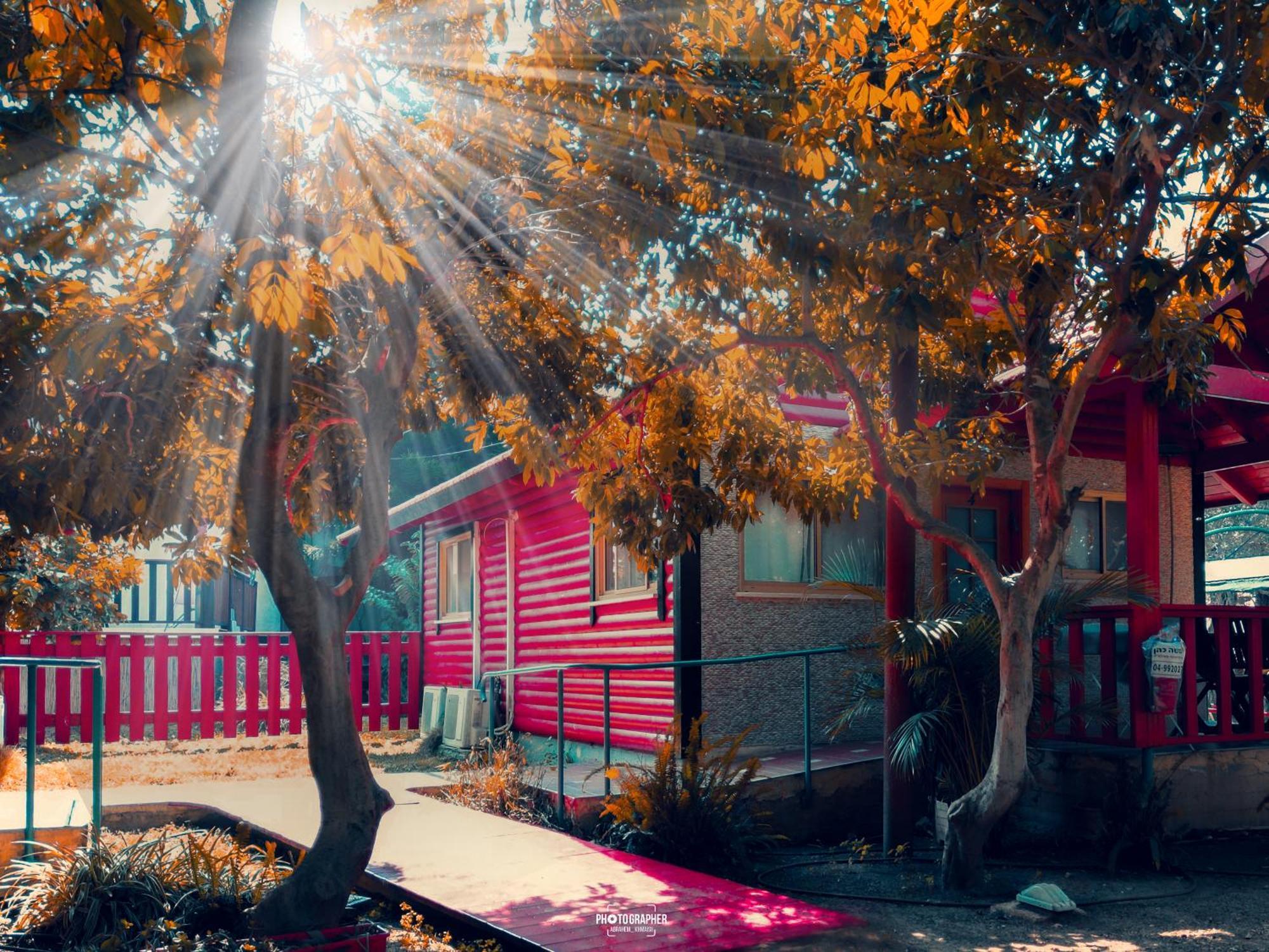 The Wooden Rose Cabins Bezet Ruang foto